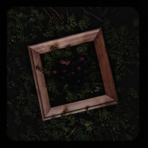 二女一杯食屎gif视频的背景故事
