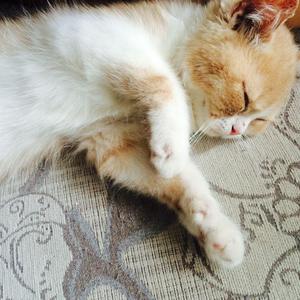 二女一杯食屎gif视频的背景故事
