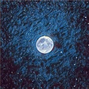 二女一杯食屎gif视频的背景故事
