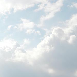 二女一杯食屎gif视频的背景故事
